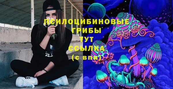 a pvp Алексеевка
