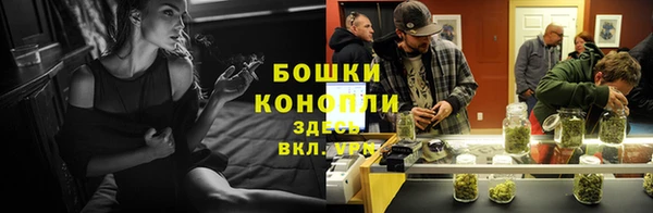 молекула духа Белая Холуница