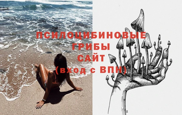 a pvp Алексеевка
